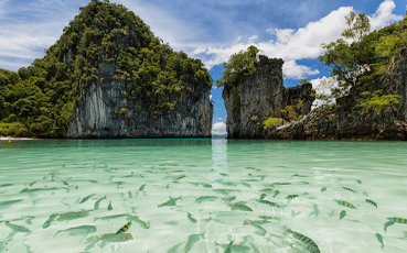 Phuket Krabi Bangkok Tour