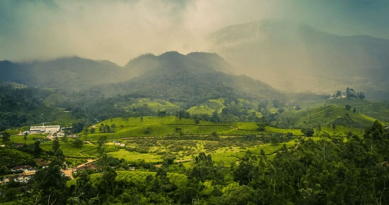 Kerala Trip